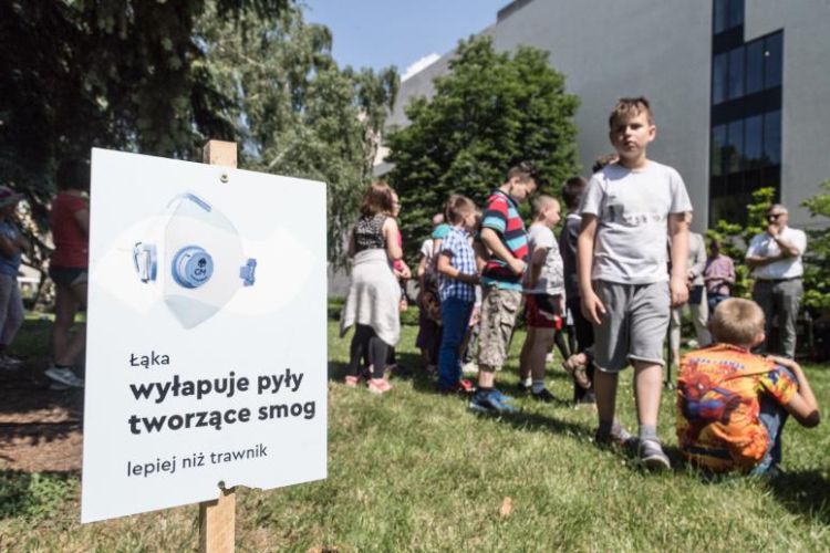 Wrocławscy podatnicy zafundują 100 zielonych ulic na 100-lecie niepodległości, Magda Pasiewicz/archiwum