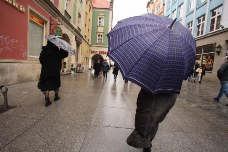 Załamanie pogody we Wrocławiu. Deszcz i ochłodzenie, 0