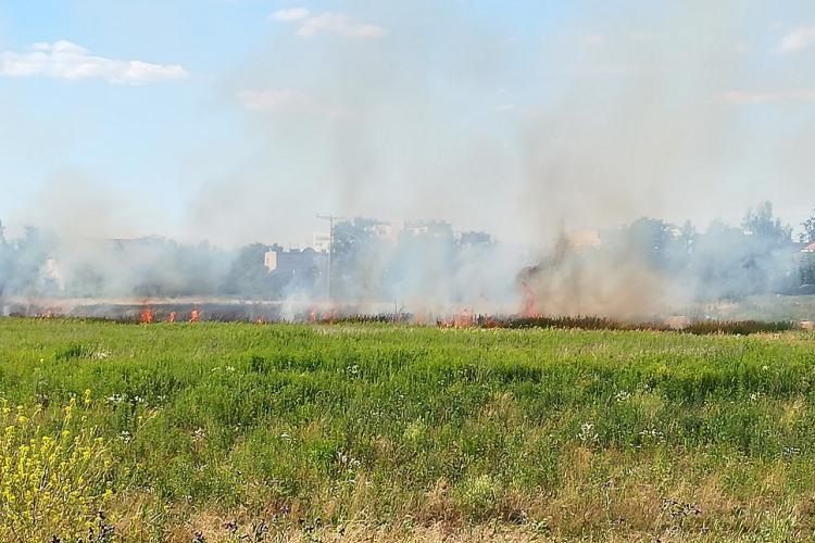Pożar na Psim Polu. Płonęły tereny na obrzeżach Wrocławia, prochu