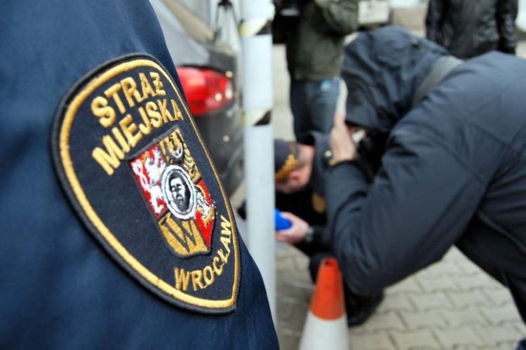 Wrocław: nielegalnie naprawiali i rozbierali samochody. Ekopatrol wystawił im serię mandatów, 0