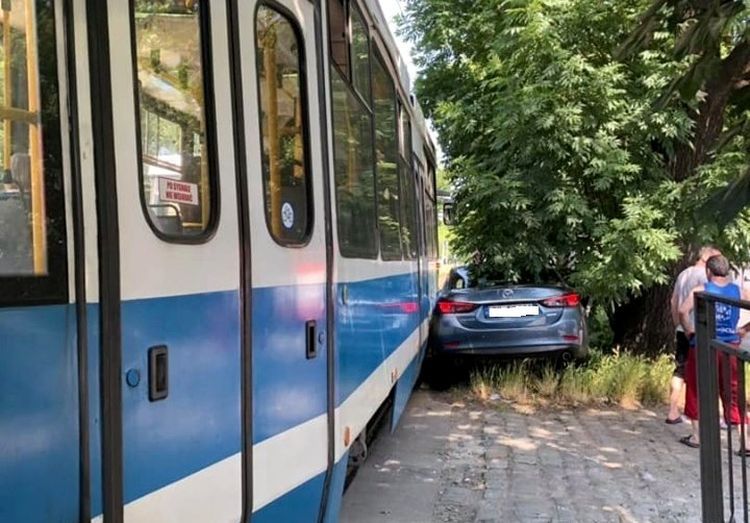 Samochód utknął między drzewem i tramwajem, Wiktoria Zabielska