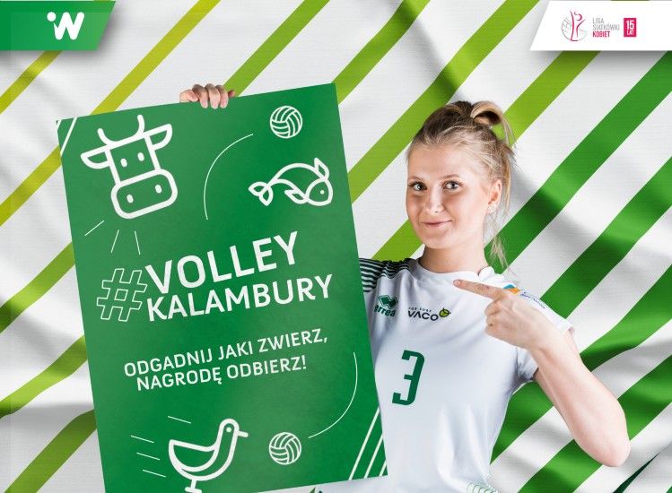 #VolleyWrocław przygotował konkurs dla kibiców. Ruszają #VolleyKalambury, materiały prasowe