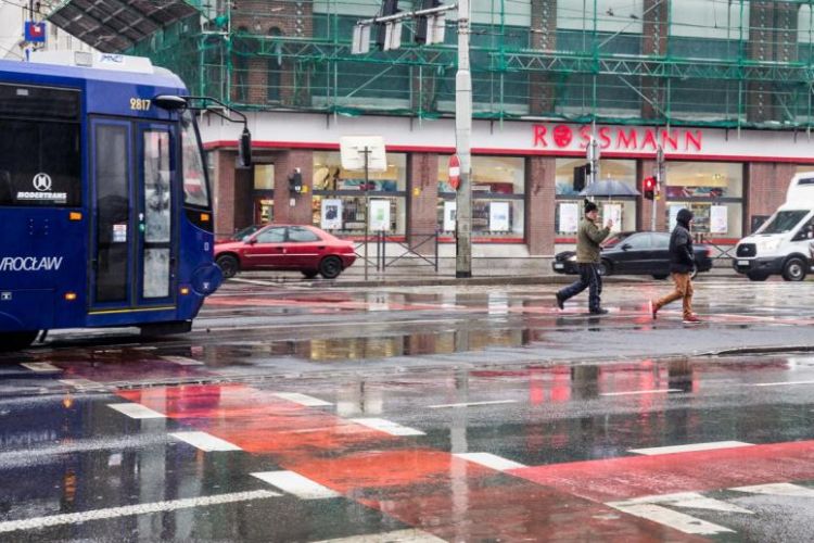 MPK: zbliżający się do przejścia pieszy nie powinien mieć pierwszeństwa przed tramwajem, Magda Pasiewicz