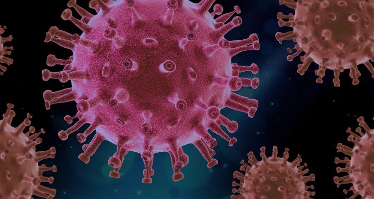 Mniej zachorowań na koronawirusa w województwie dolnośląskim. Zmarło siedem osób, pixabay.com