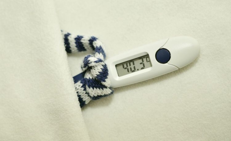 Grypa a COVID-19. Od marca na grypę zachorowało ponad 750 tys. Polaków [PORÓWNANIE], pixabay