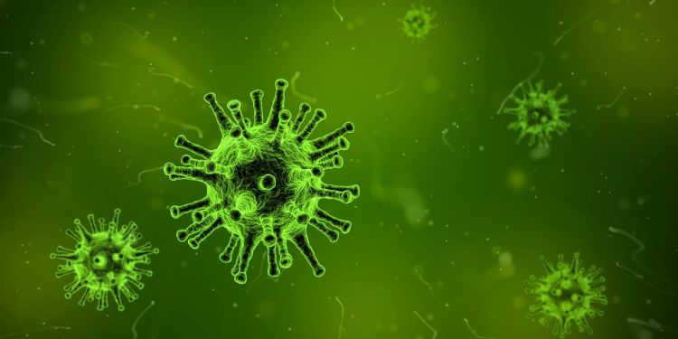 Koronawirus na Dolnym Śląsku. Liczba zakażonych przekroczyła 7 tys. [12.10.2020], pixabay.com