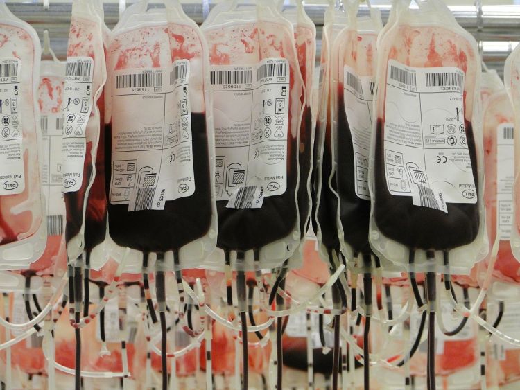 Studenci oddają krew. Na UWr trwa Wampiriada, pixabay.com