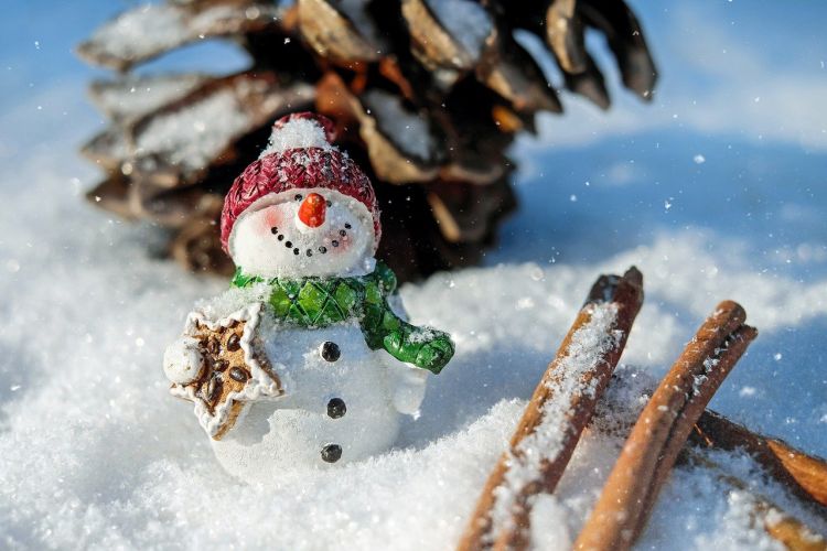 Świetne życzenia świąteczne, które można wysłać każdemu! Fajne, gotowe wierszyki i sentencje, Pixabay