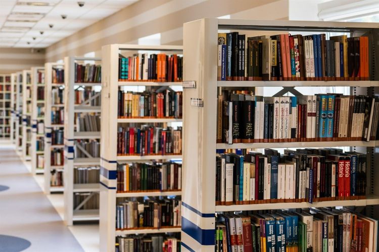 Wrocław: biblioteka miejska czy stołówka szkolna? Spór na Oporowie, pixabay.com