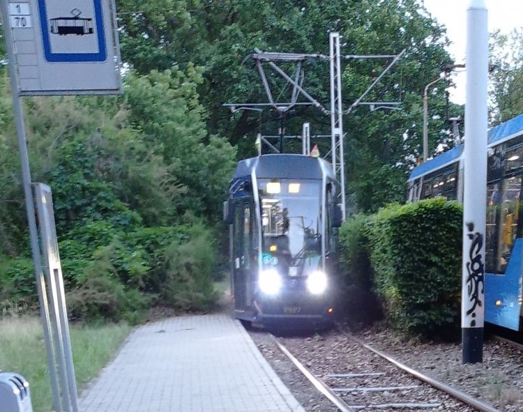 Wrocław: Wykolejenie tramwaju na ul. Mickiewicza. Już drugie w tym miejscu [ZDJĘCIA], Jan Dańczak