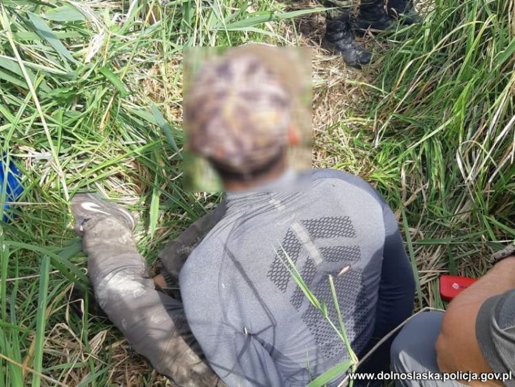 302 krzaki ukryte na bagnach. Duża plantacja marihuany zlikwidowana, Policja Dolnośląska