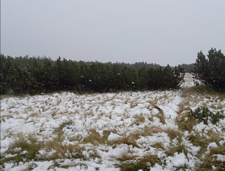 W Karkonoszach spadł pierwszy śnieg. Zobaczcie zdjęcia, KPN Kamil Berdys