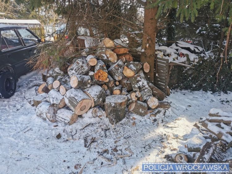 Plaga kradzieży drewna na opał. Lasów pilnują patrole policji, Policja Wrocław