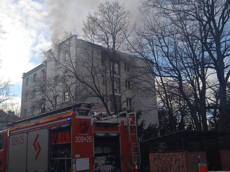 Wrocław: Pożar mieszkania na Krzykach. Sześć osób w szpitalu, Elżbieta Goman