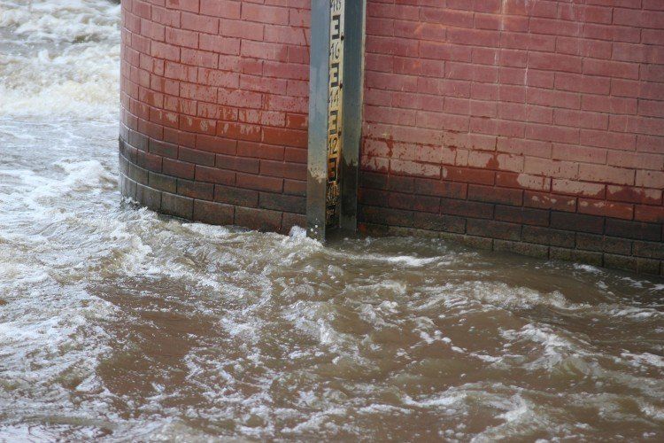 Wrocław: Wysoki poziom wody w rzekach. IMGW wydało ostrzeżenie, Jakub Jurek/archiwum