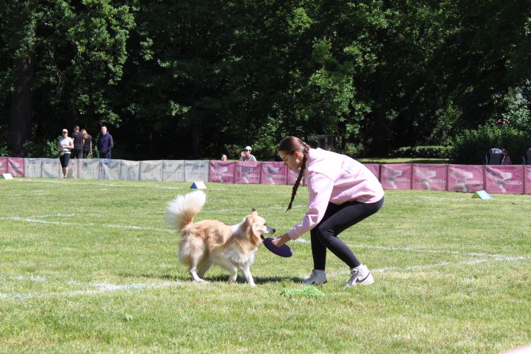 Wrocław: Latające Psy opanowały Park Południowy. Trwają zawody [ZDJĘCIA], Klaudia Kłodnicka