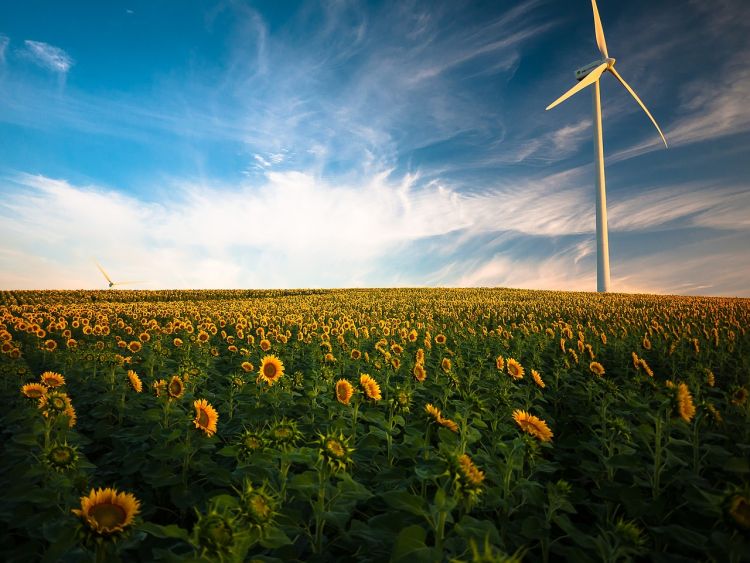 OZE – co warto wiedzieć o odnawialnych źródłach energii?, 