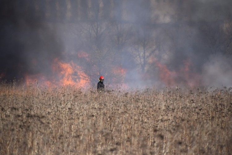 Wrocław: Kolejny pożar na Gaju. To już plaga podpaleń, zdjęcie ilustracyjne/archiwum