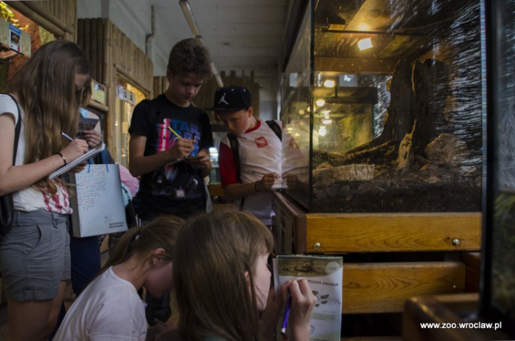 Po wakacyjnej przerwie, do wrocławskiego zoo wracają warsztaty dla dzieci i młodzieży, ZOO Wrocław