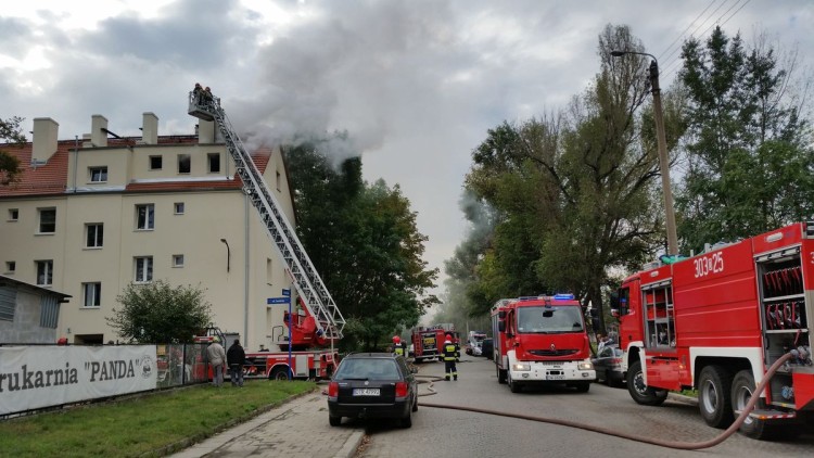 Pożar w mieszkaniu na Tarnogaju (ZOBACZ ZDJĘCIA), Damian Filipowski
