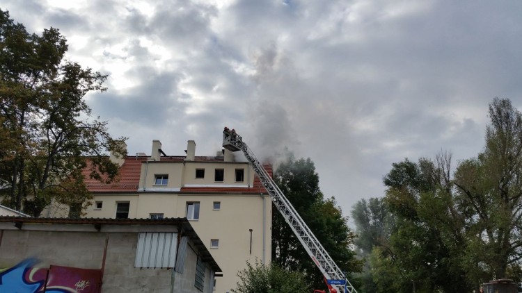 Pożar w mieszkaniu na Tarnogaju (ZOBACZ ZDJĘCIA), Damian Filipowski