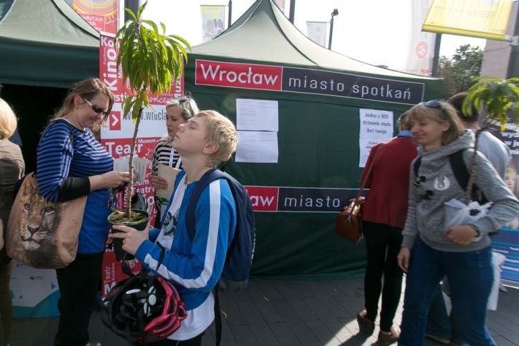 Wrocławianie wymienili 4 kontenery odpadów na 800 drzewek, Tomasz Walków/UMW