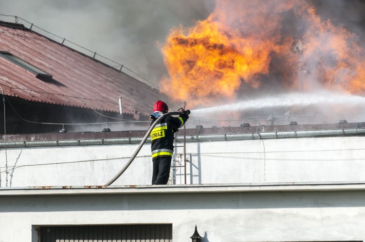Wybuch w fabryce zapalniczek pod Wrocławiem! (DUŻO ZDJĘĆ), Damian Filipowski