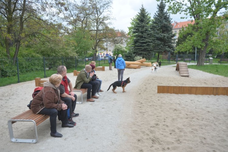 Wrocław: trzy nowe place zabaw dla psów. Jeden już gotowy [ZDJĘCIA], Wojciech Bolesta