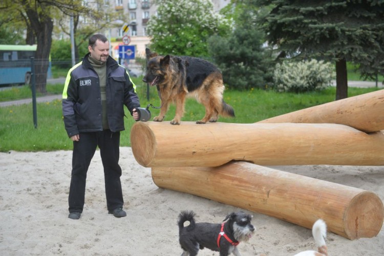 Wrocław: trzy nowe place zabaw dla psów. Jeden już gotowy [ZDJĘCIA], Wojciech Bolesta