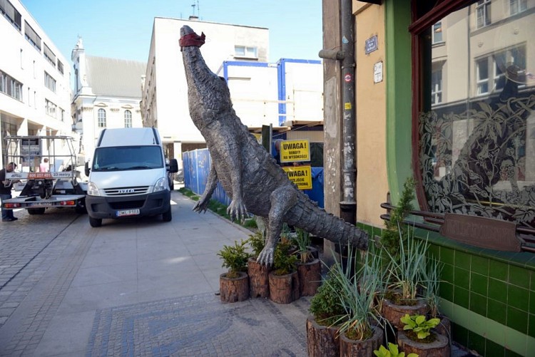 Ktoś zniszczył rzeźbę Krokodyla na Kuźniczej [ZOBACZ ZDJĘCIA], Wojciech Bolesta