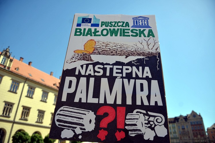 W obronie zieleni ułożyli drzewo na wrocławskim rynku [ZDJĘCIA], Wojciech Bolesta