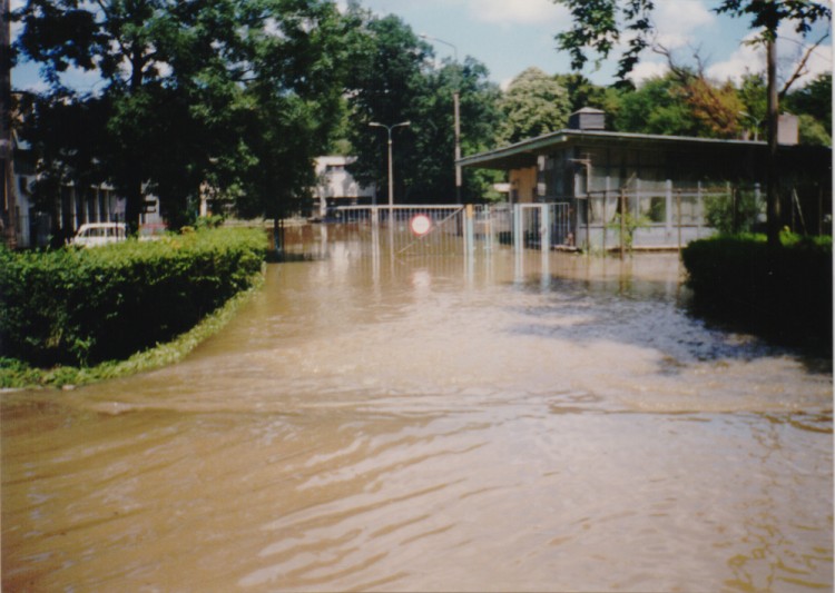 Powódź Tysiąclecia we Wrocławiu. Zobacz zdjęcia sprzed 20 lat [GALERIA], Maciej Prochowski, Małgorzata Prochowska