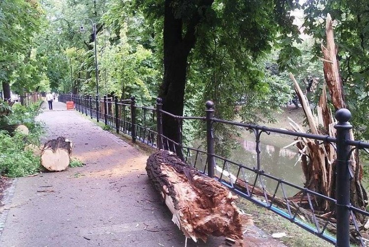 Wielka nawałnica przeszła przez Wrocław - zalane drogi, połamane drzewa [ZDJĘCIA], mgo, prochu, wbo