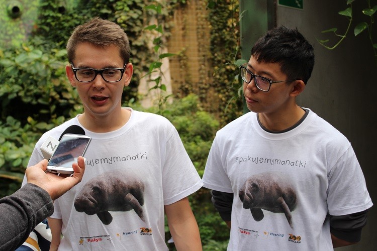 Dwa nowe manaty we wrocławskim zoo. Przyleciały aż z Singapuru! [ZDJĘCIA], Paweł Prochowski