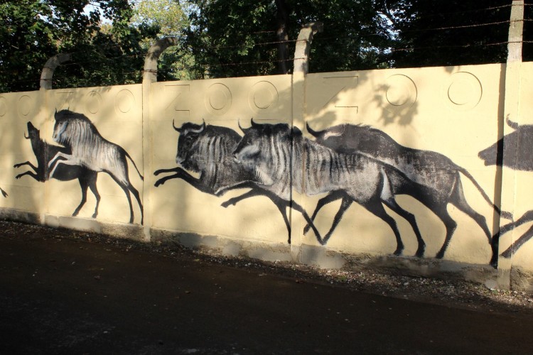 Zoo ma już nowy mural. W sobotę odsłonięcie [ZDJĘCIA], Mural ZOO Wrocław