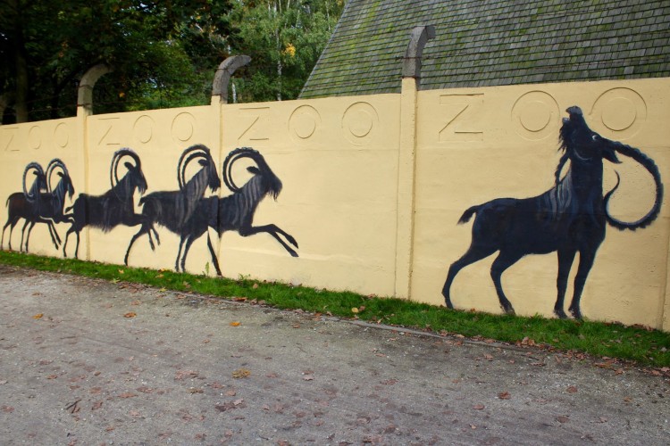 Zoo ma już nowy mural. W sobotę odsłonięcie [ZDJĘCIA], Mural ZOO Wrocław
