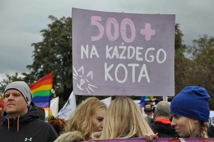 9. Wrocławski Marsz Równości, Marta Gołębiowska