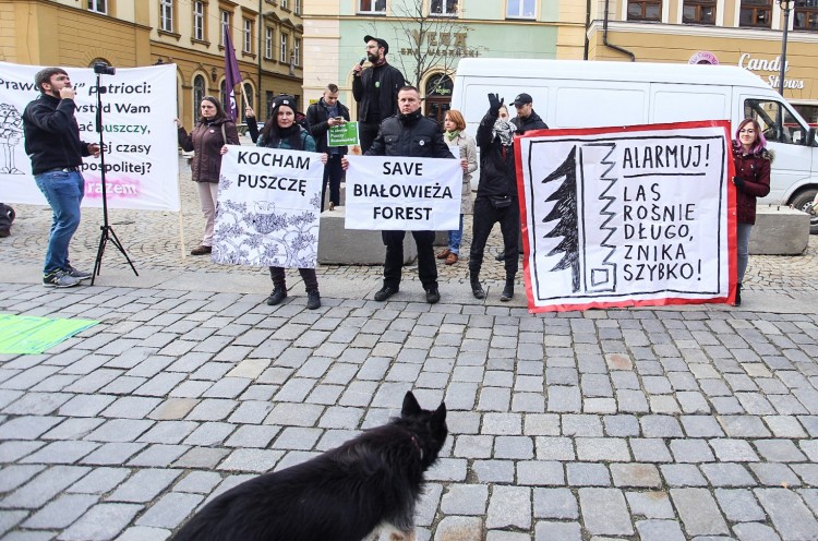 Wrocławska pikieta solidarności z „obrońcami puszczy” [ZDJĘCIA], Magda Pasiewicz