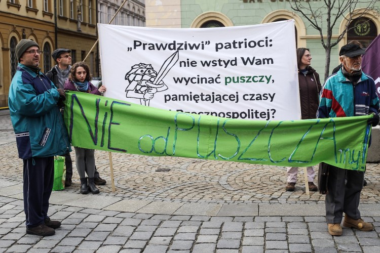 Zieloni znów pikietowali na wrocławskim Rynku. „Puszcza to nasze wspólne naturalne dziedzictwo” [ZDJĘCIA], Magda Pasiewicz
