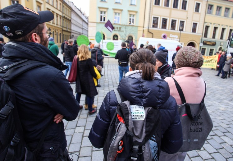 Zieloni znów pikietowali na wrocławskim Rynku. „Puszcza to nasze wspólne naturalne dziedzictwo” [ZDJĘCIA], Magda Pasiewicz