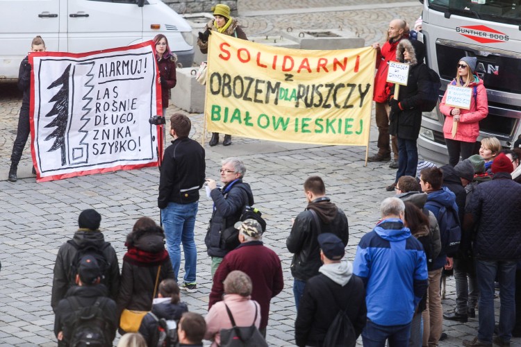 Wrocławska pikieta solidarności z „obrońcami puszczy” [ZDJĘCIA], Magda Pasiewicz