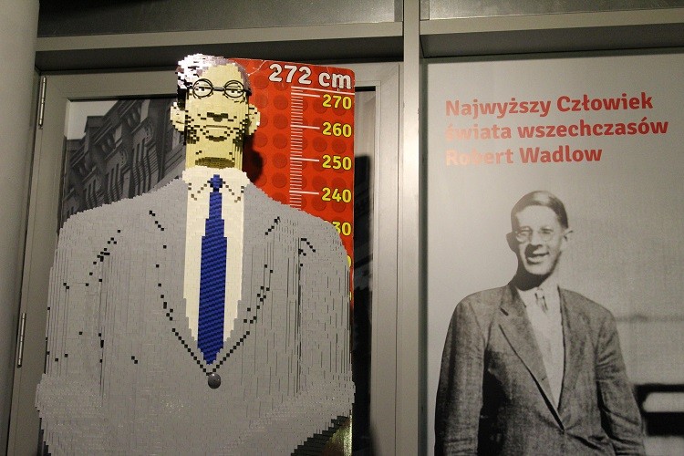 W piątek inauguracja największej wystawy klocków Lego w Polsce. Zobacz, jak wygląda w środku! [ZDJĘCIA], Paweł Prochowski