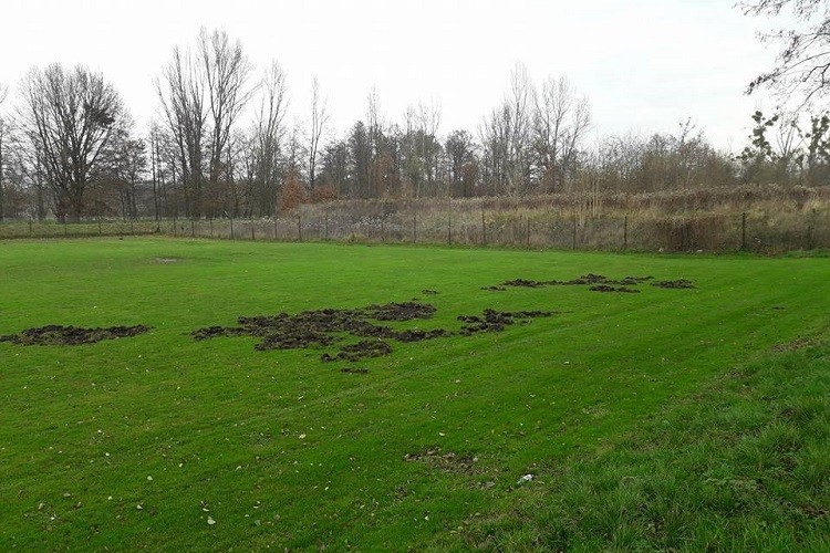 Nowe boisko baseballowe jest regularnie niszczone. Czy dotrwa do wiosny? [ZDJĘCIA], materiały prasowe Barons Wrocław