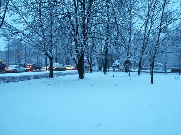 Zima w końcu dotarła do Wrocławia. Fatalne warunki na ulicach i chodnikach, Magda Pasiewicz