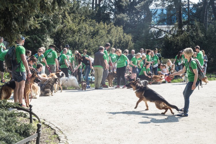 Kilkadziesiąt osób przemaszerowało przez Wrocław ze swoimi psami [ZDJĘCIA], Magda Pasiewicz