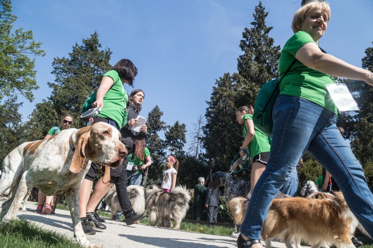 Kilkadziesiąt osób przemaszerowało przez Wrocław ze swoimi psami [ZDJĘCIA], Magda Pasiewicz