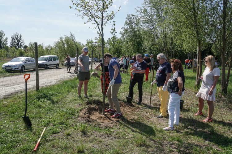 Nowy park we Wrocławiu. Na Oporowie posadzono 200 drzew [ZDJĘCIA], Magda Pasiewicz