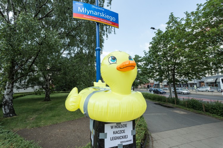 We Wrocławiu stanął pomnik „gumowej kaczki”. O co chodzi? [ZDJĘCIA], Magda Pasiewicz