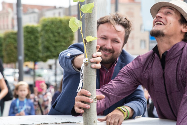 We Wrocławiu posadzili Drzewo Mocy. Dzięki mobilnej donicy może zmieniać swoją lokalizację, Magda Pasiewicz
