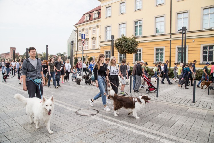 W niedzielę przez Wrocław przejedzie parada psów, Magda Pasiewicz